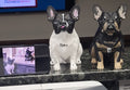 Your pet's model- hand painted